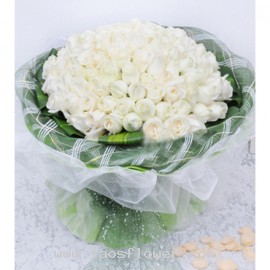 99 White Roses